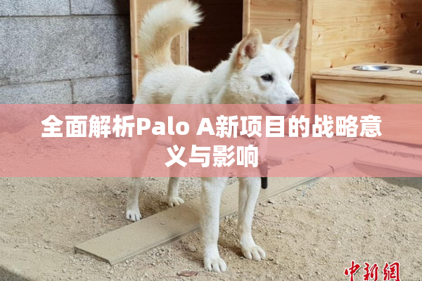 全面解析Palo A新项目的战略意义与影响