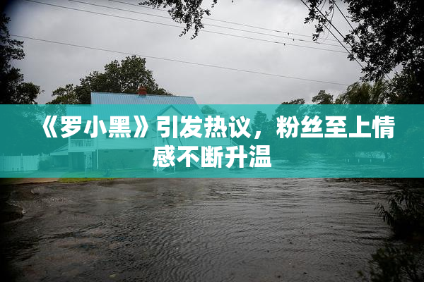 《罗小黑》引发热议，粉丝至上情感不断升温