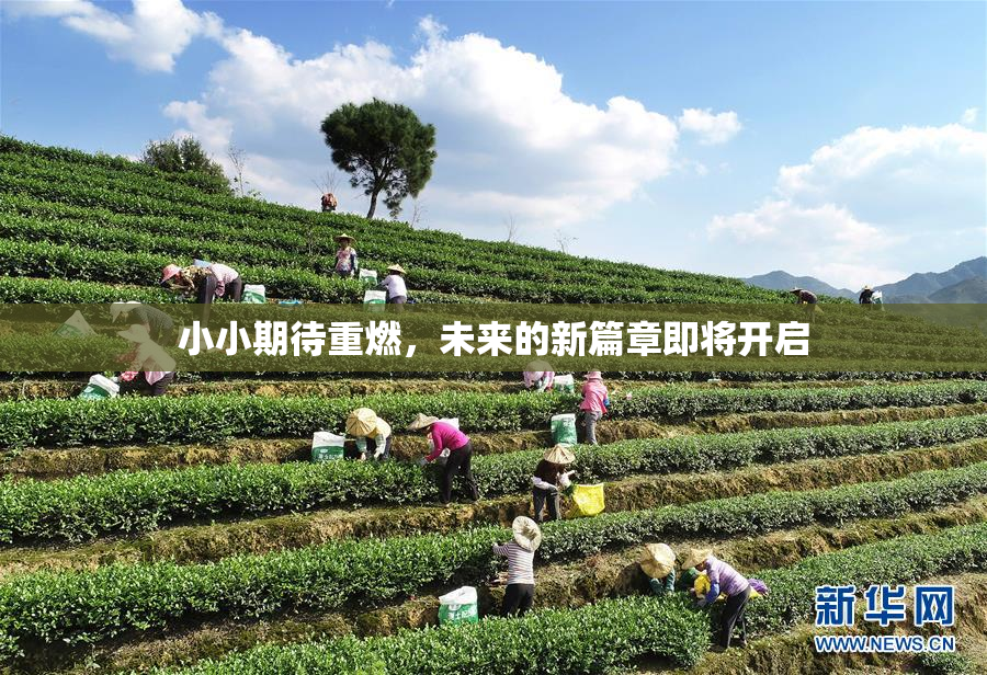 小小期待重燃，未来的新篇章即将开启