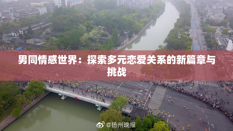 男同情感世界：探索多元恋爱关系的新篇章与挑战