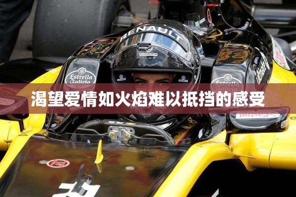 渴望爱情如火焰难以抵挡的感受