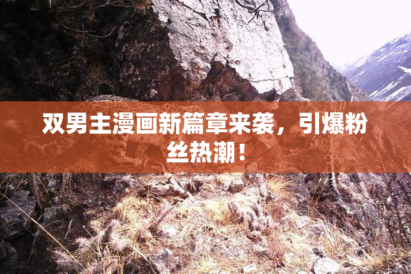 双男主漫画新篇章来袭，引爆粉丝热潮！