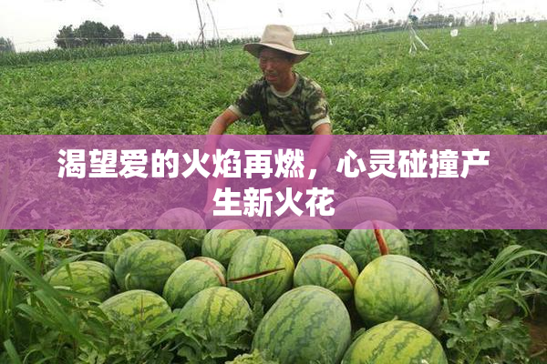 渴望爱的火焰再燃，心灵碰撞产生新火花