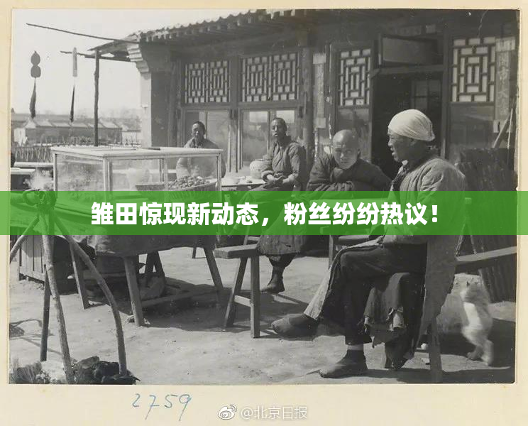雏田惊现新动态，粉丝纷纷热议！