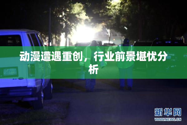 动漫遭遇重创，行业前景堪忧分析