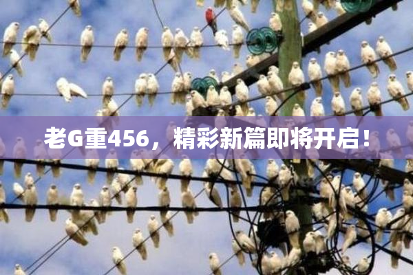 老G重456，精彩新篇即将开启！