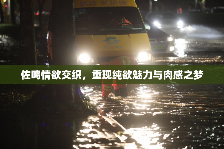 佐鸣情欲交织，重现纯欲魅力与肉感之梦