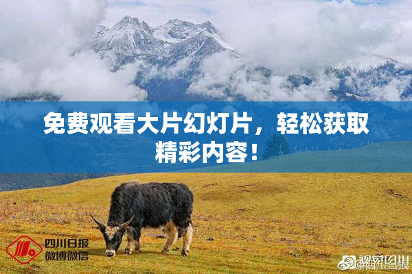 免费观看大片幻灯片，轻松获取精彩内容！