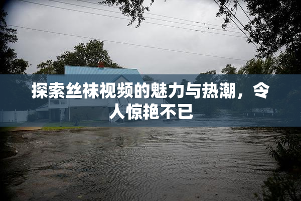 探索丝袜视频的魅力与热潮，令人惊艳不已