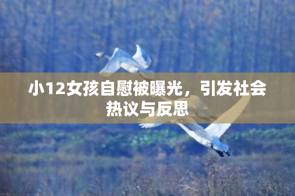 小12女孩自慰被曝光，引发社会热议与反思