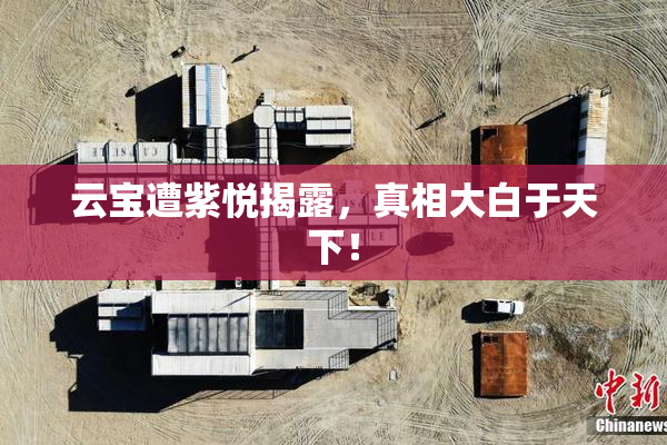 云宝遭紫悦揭露，真相大白于天下！