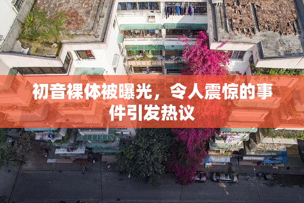 初音裸体被曝光，令人震惊的事件引发热议