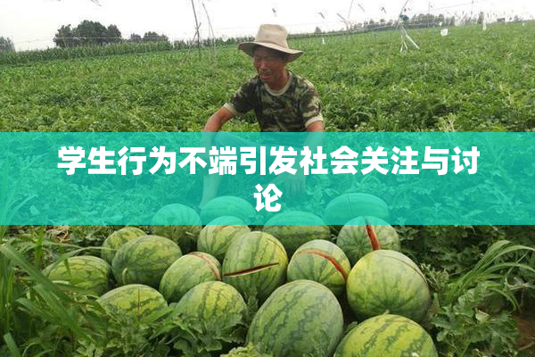 学生行为不端引发社会关注与讨论