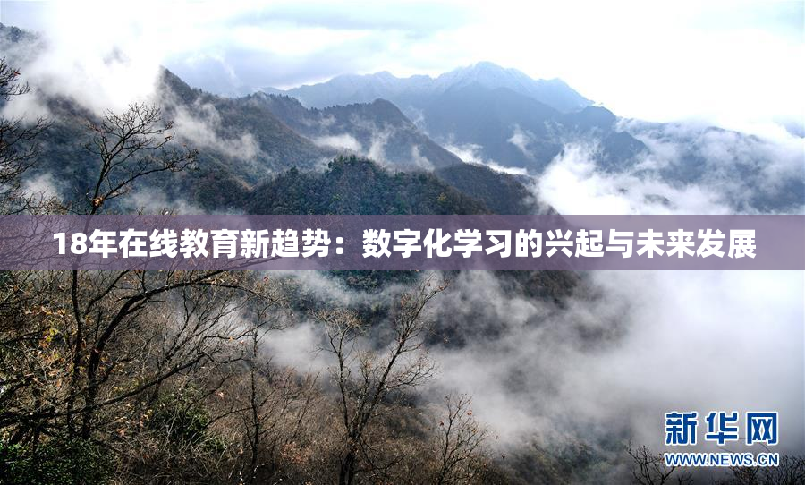 18年在线教育新趋势：数字化学习的兴起与未来发展