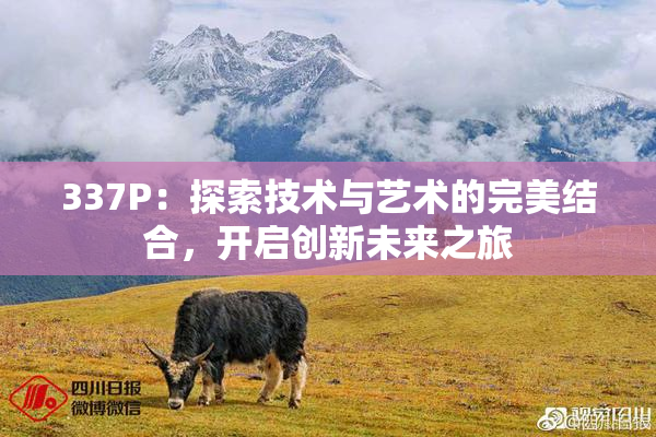 337P：探索技术与艺术的完美结合，开启创新未来之旅
