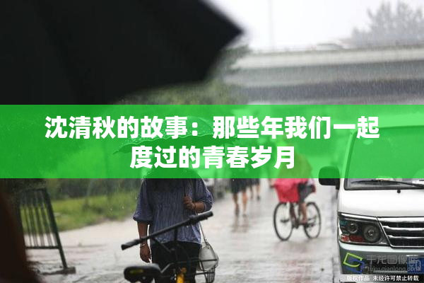 沈清秋的故事：那些年我们一起度过的青春岁月