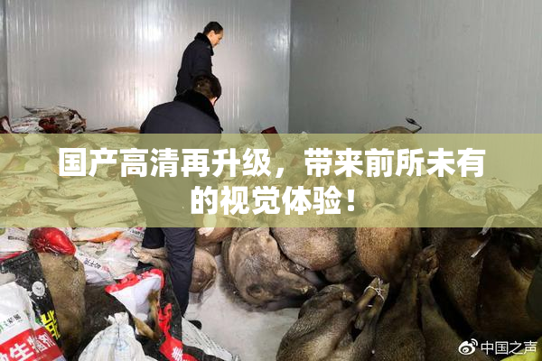 国产高清再升级，带来前所未有的视觉体验！