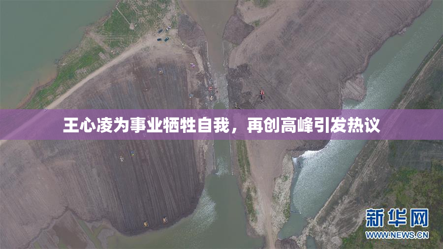 王心凌为事业牺牲自我，再创高峰引发热议