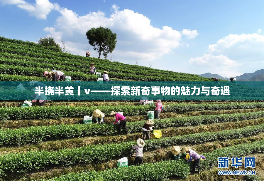 半挠半黄丨v——探索新奇事物的魅力与奇遇