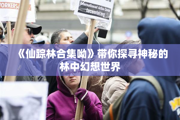 《仙踪林合集呦》带你探寻神秘的林中幻想世界