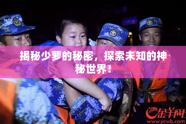 揭秘少萝的秘密，探索未知的神秘世界！