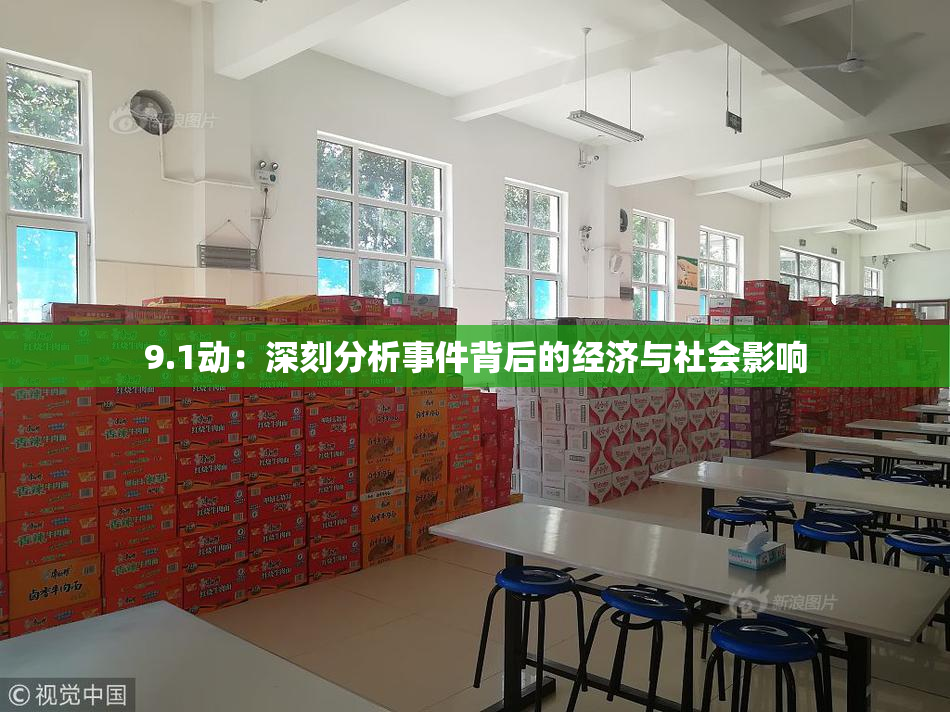 9.1动：深刻分析事件背后的经济与社会影响