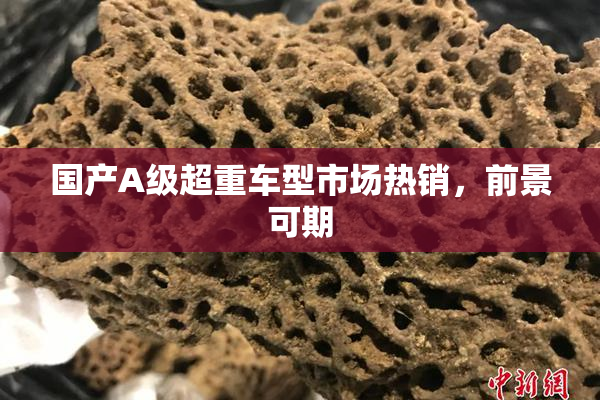 国产A级超重车型市场热销，前景可期