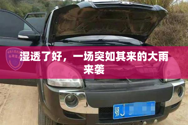 湿透了好，一场突如其来的大雨来袭
