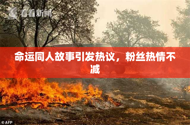 命运同人故事引发热议，粉丝热情不减