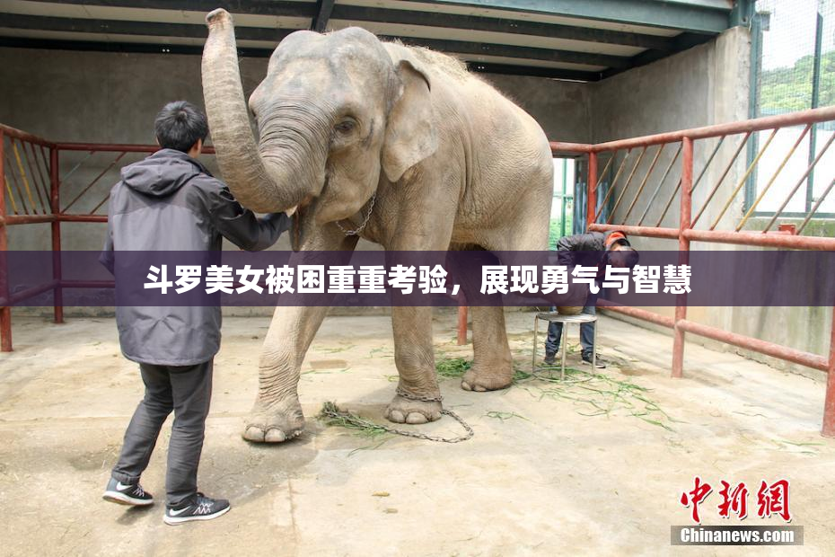 斗罗美女被困重重考验，展现勇气与智慧