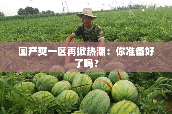 国产爽一区再掀热潮：你准备好了吗？