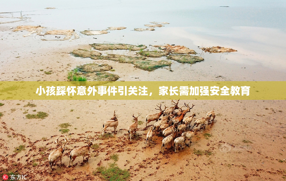 小孩踩怀意外事件引关注，家长需加强安全教育