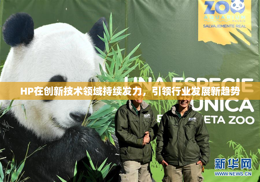 HP在创新技术领域持续发力，引领行业发展新趋势
