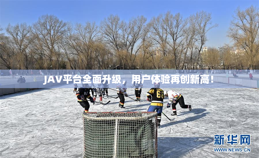 JAV平台全面升级，用户体验再创新高！