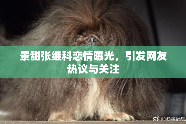 景甜张继科恋情曝光，引发网友热议与关注
