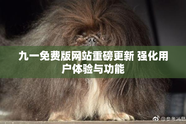 九一免费版网站重磅更新 强化用户体验与功能