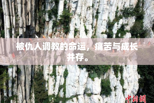 被仇人调教的命运，痛苦与成长并存。