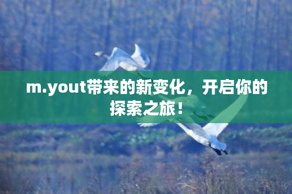 m.yout带来的新变化，开启你的探索之旅！