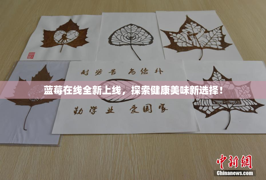 蓝莓在线全新上线，探索健康美味新选择！
