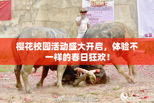 樱花校园活动盛大开启，体验不一样的春日狂欢！