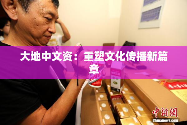 大地中文资：重塑文化传播新篇章