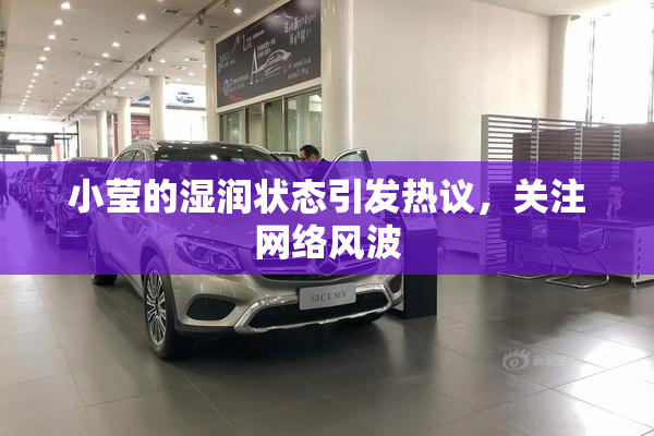 小莹的湿润状态引发热议，关注网络风波