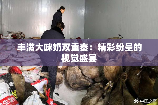 丰满大咪奶双重奏：精彩纷呈的视觉盛宴