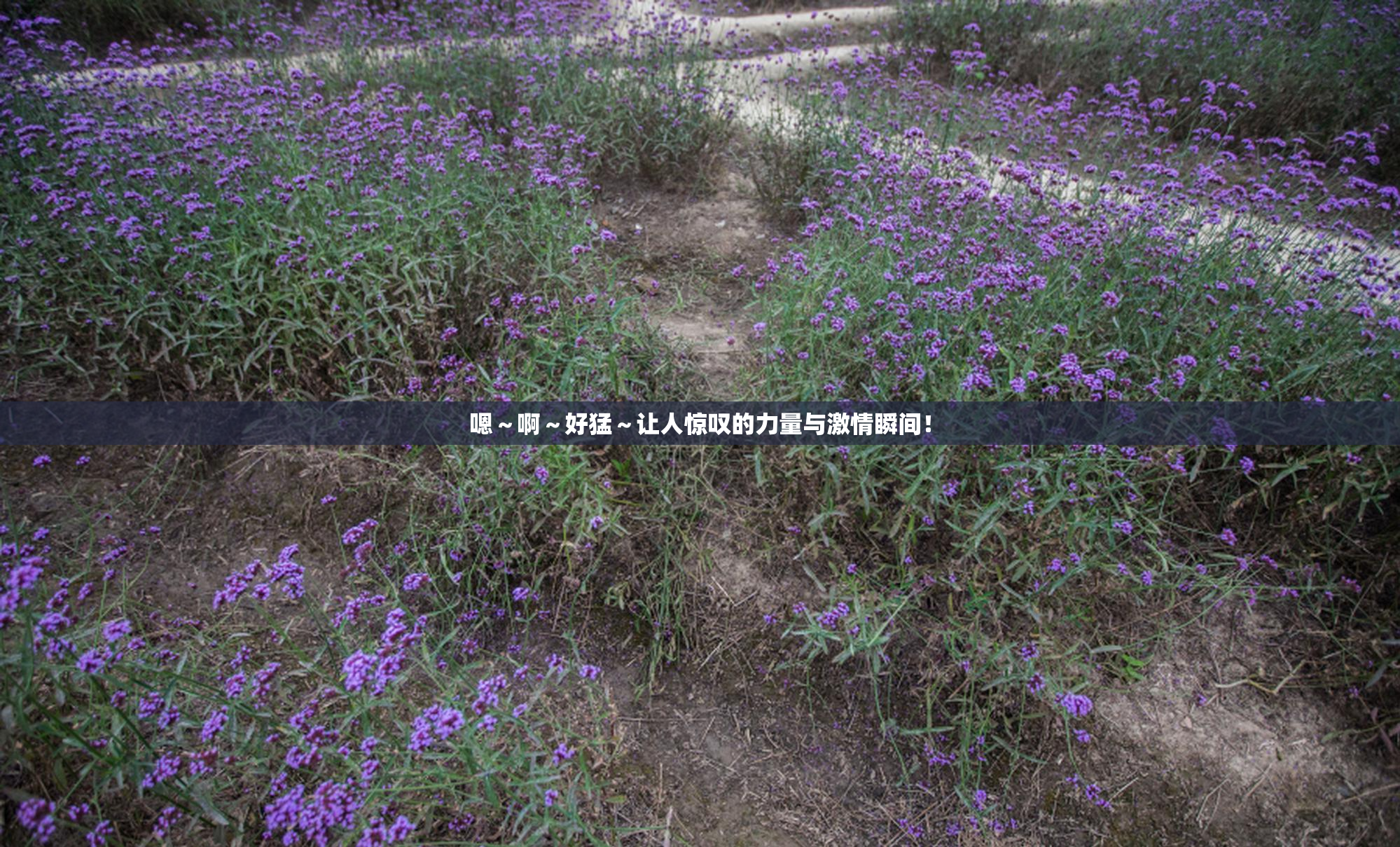 嗯～啊～好猛～让人惊叹的力量与激情瞬间！