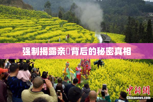 强制揭露亲妺背后的秘密真相