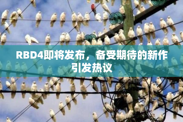 RBD4即将发布，备受期待的新作引发热议