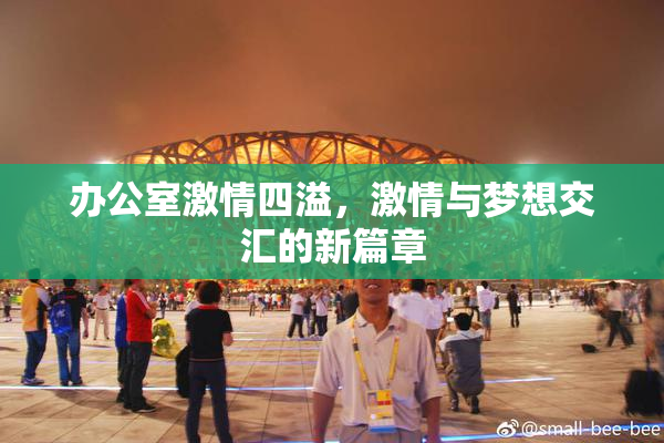 办公室激情四溢，激情与梦想交汇的新篇章