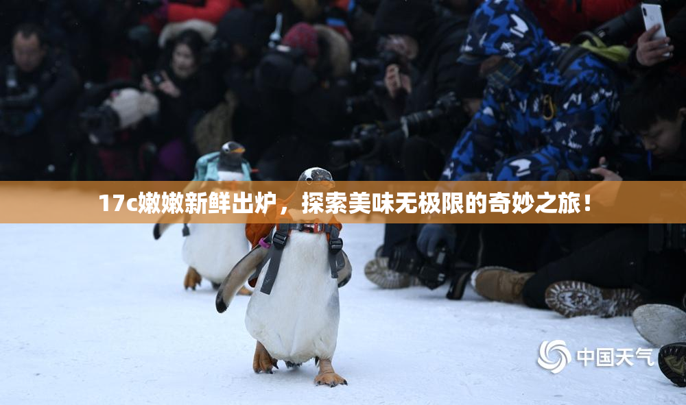 17c嫩嫩新鲜出炉，探索美味无极限的奇妙之旅！
