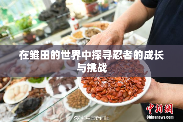 在雏田的世界中探寻忍者的成长与挑战