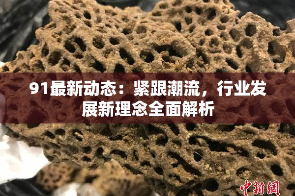 91最新动态：紧跟潮流，行业发展新理念全面解析
